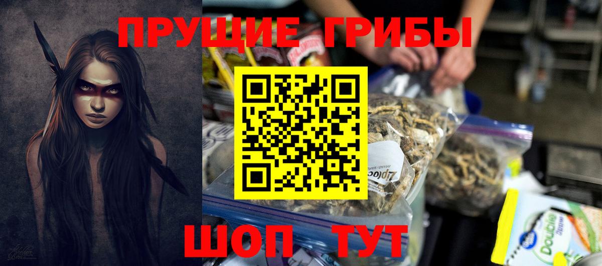 Псилоцибиновые грибы Psilocybe Верхний Уфалей